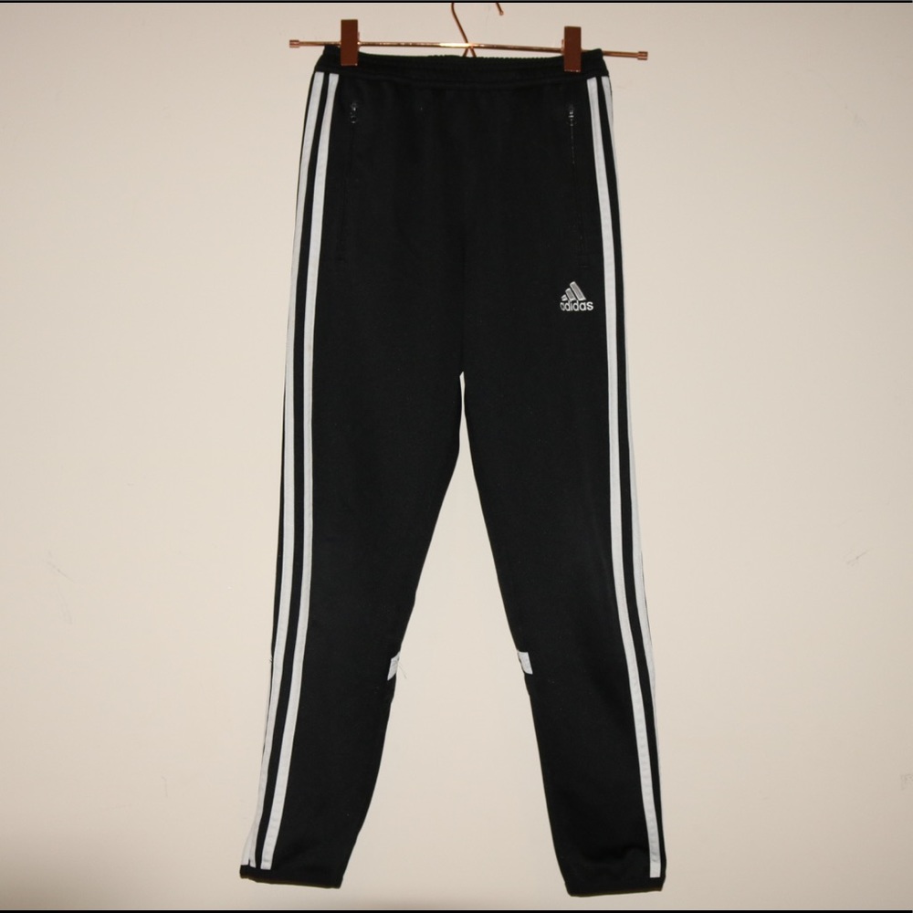 Climacool Adidas pants